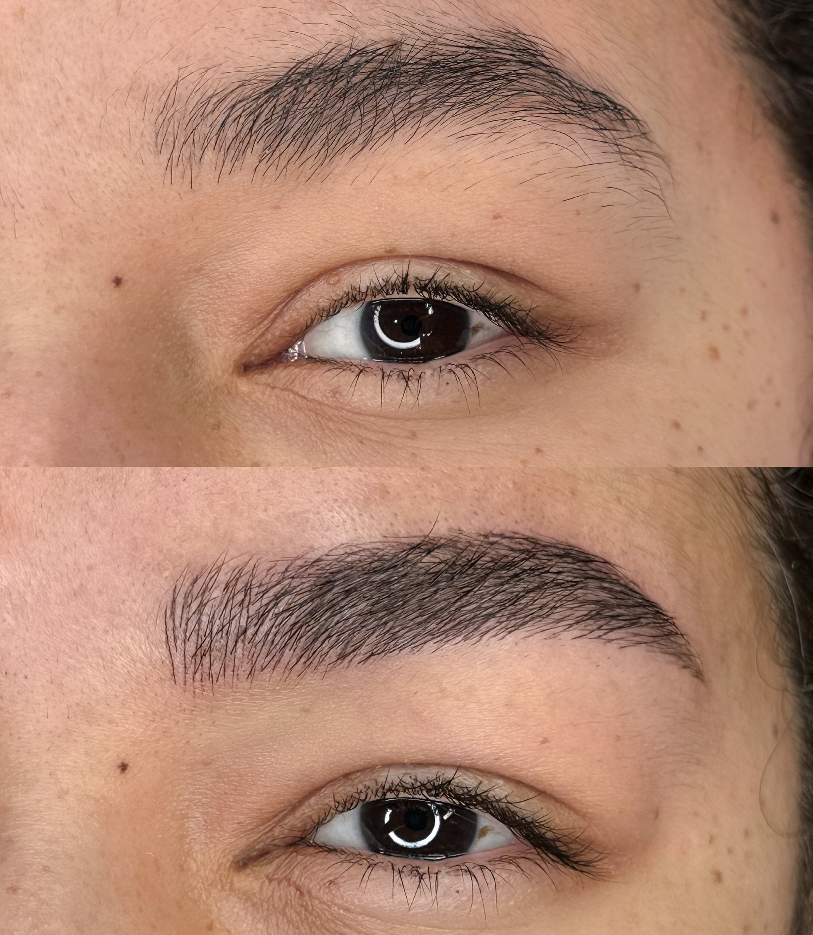 Brows Result